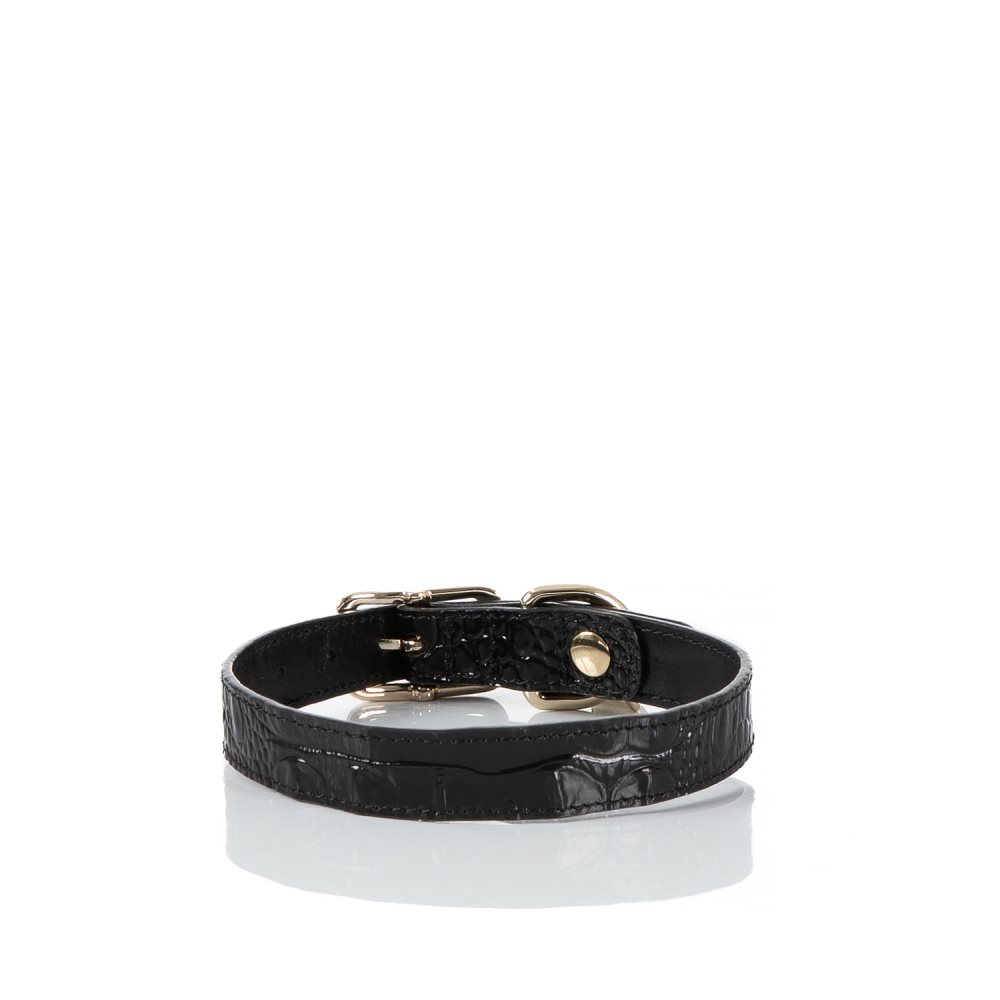 Brahmin Medium Pet Collar Black Melbourne