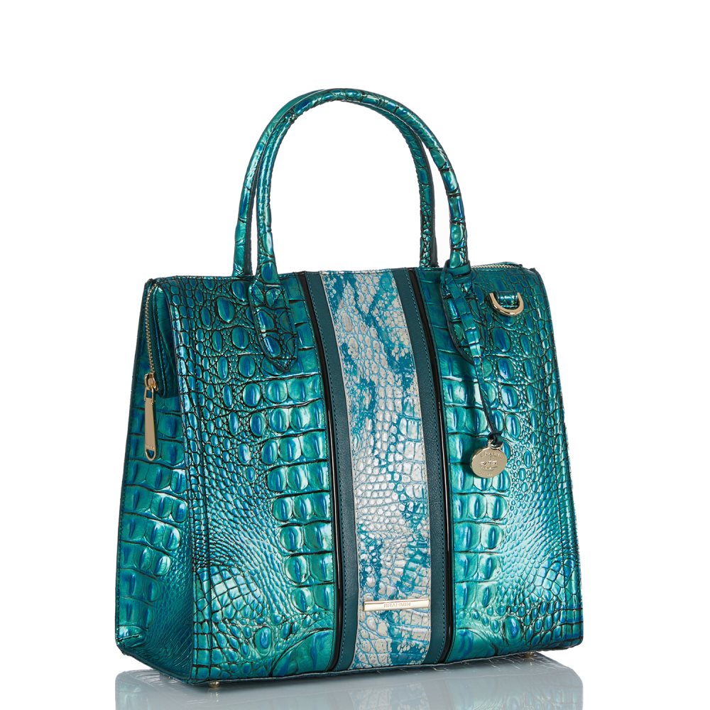 Brahmin Caroline Peacock Shimmer