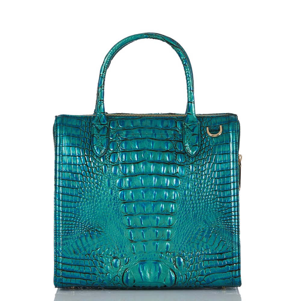 Brahmin Caroline Peacock Shimmer