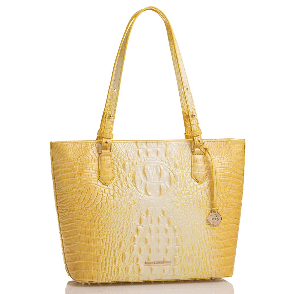 Brahmin Medium Misha Sunbeam Melbourne