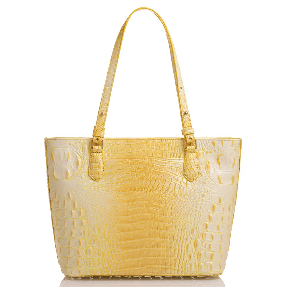 Brahmin Medium Misha Sunbeam Melbourne