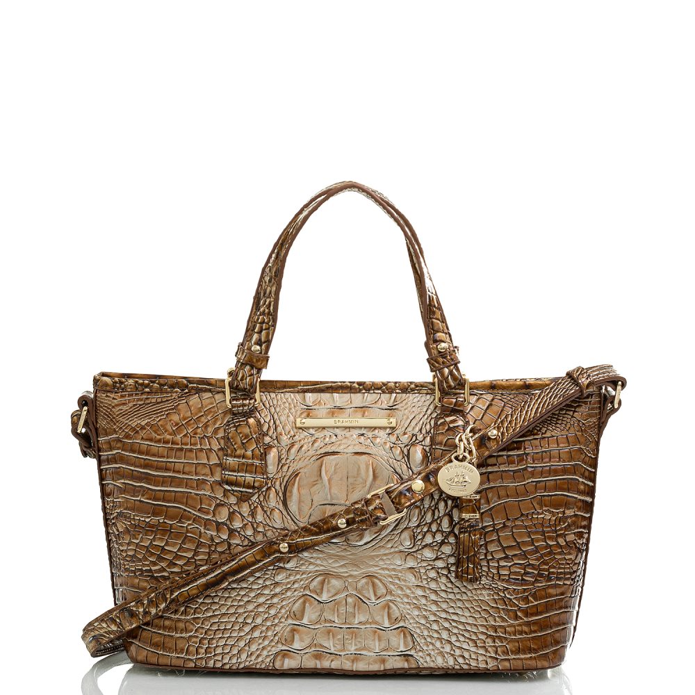 Brahmin Mini Asher Cappuccino Ombre Melbourne