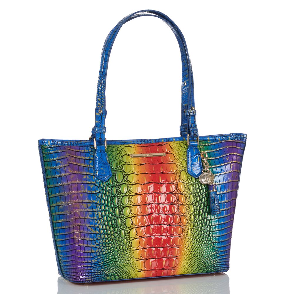 Brahmin Medium Asher Popsicle Ombre Melbourne