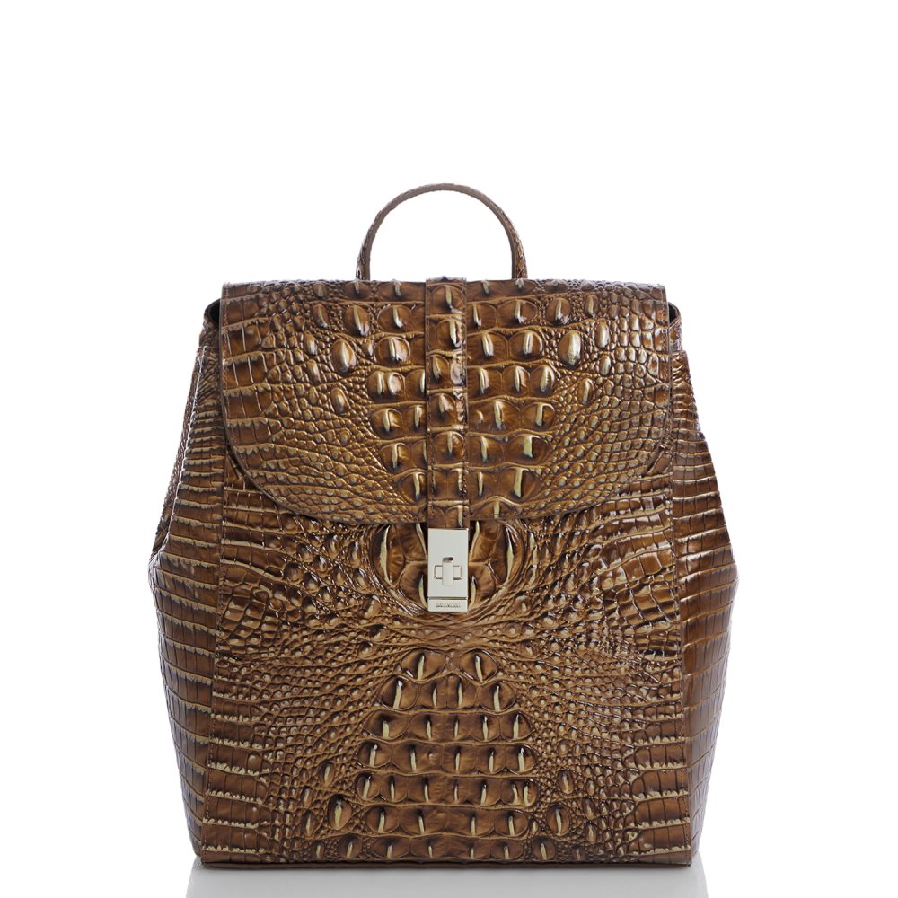 Brahmin Sadie Teak Ombre Melbourne