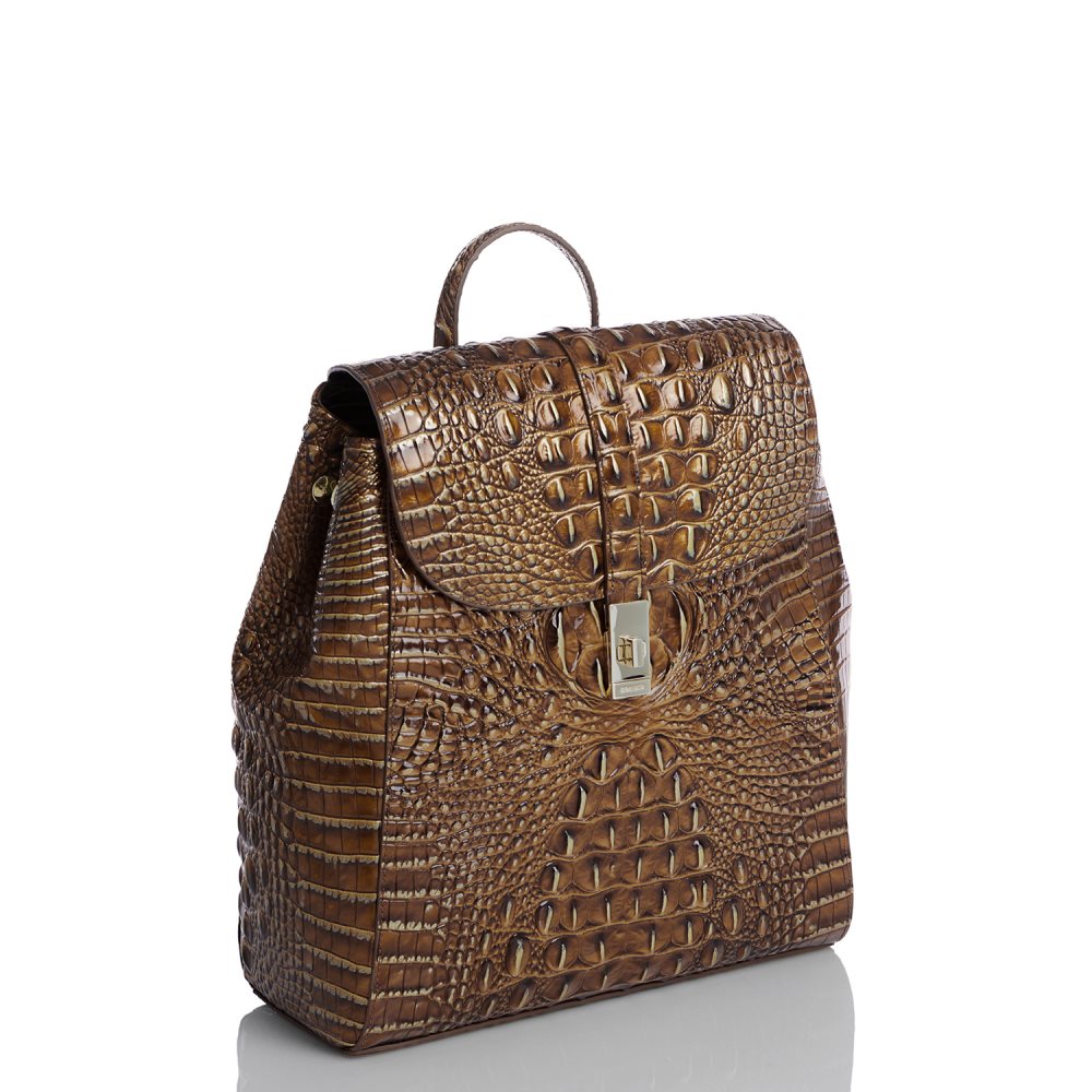 Brahmin Sadie Teak Ombre Melbourne