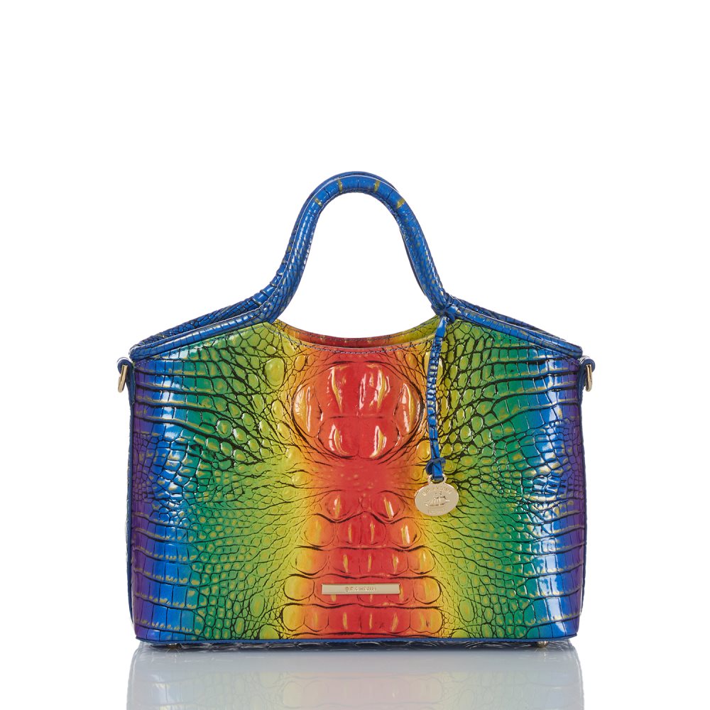 Brahmin Small Elaine Popsicle Ombre Melbourne