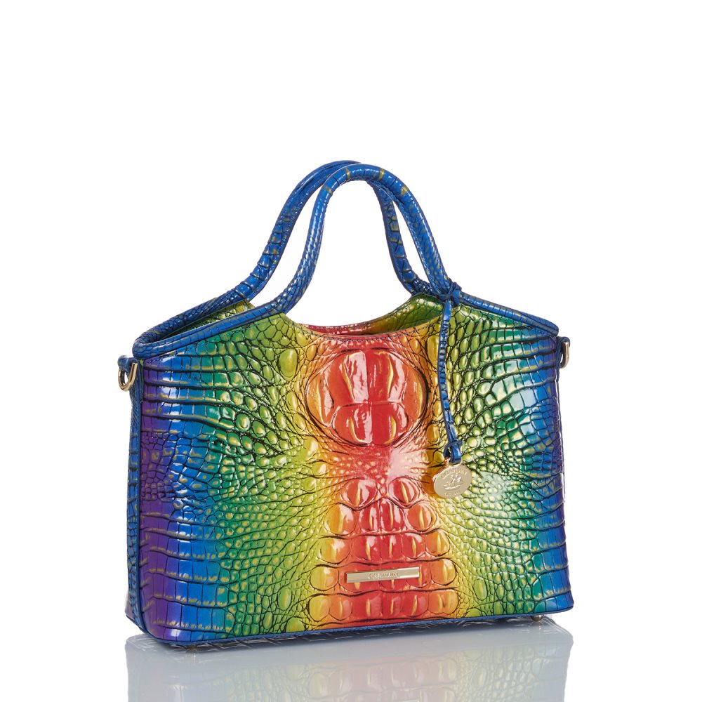 Brahmin Small Elaine Popsicle Ombre Melbourne