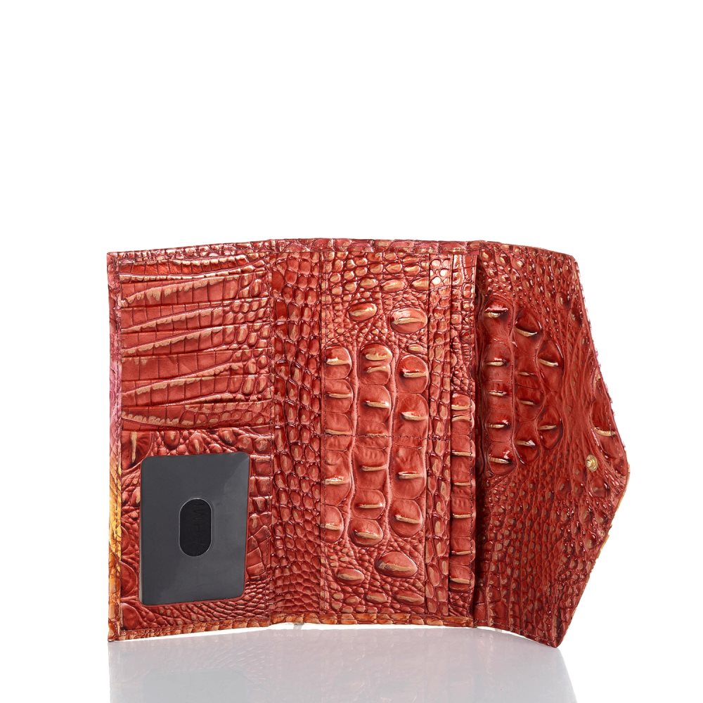 Brahmin Veronica Glam Ombre Melbourne