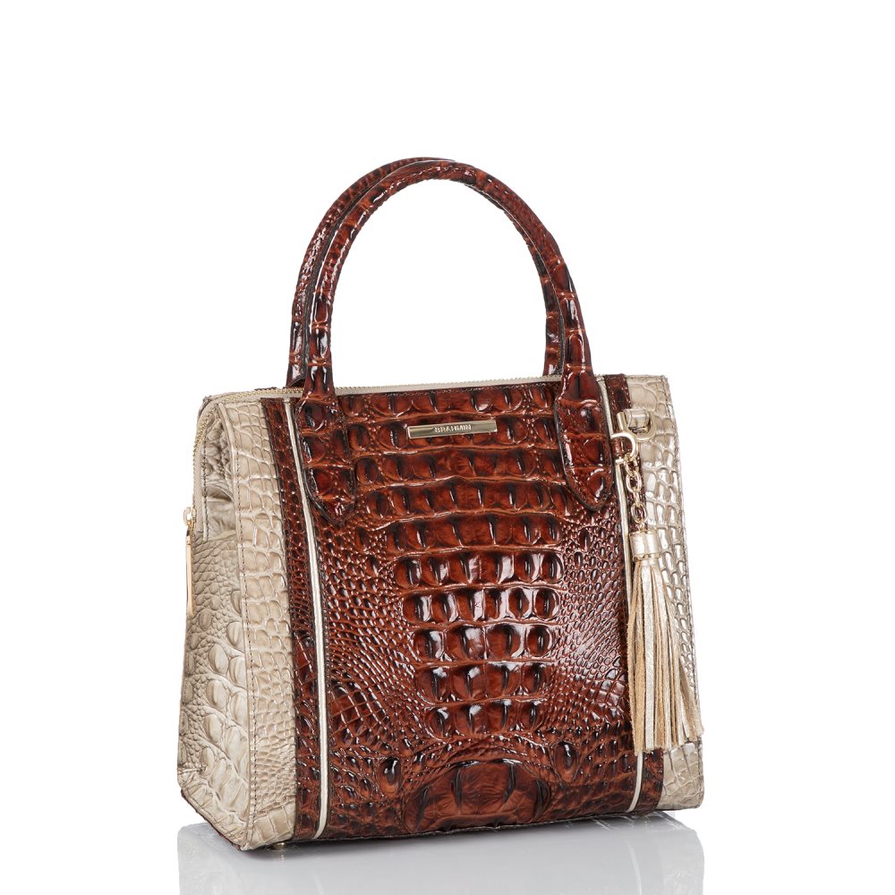 Brahmin Small Caroline Clay Caye