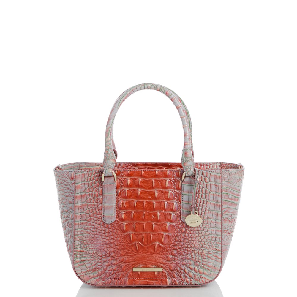 Brahmin Small Ashlee Flirty Ombre Melbourne