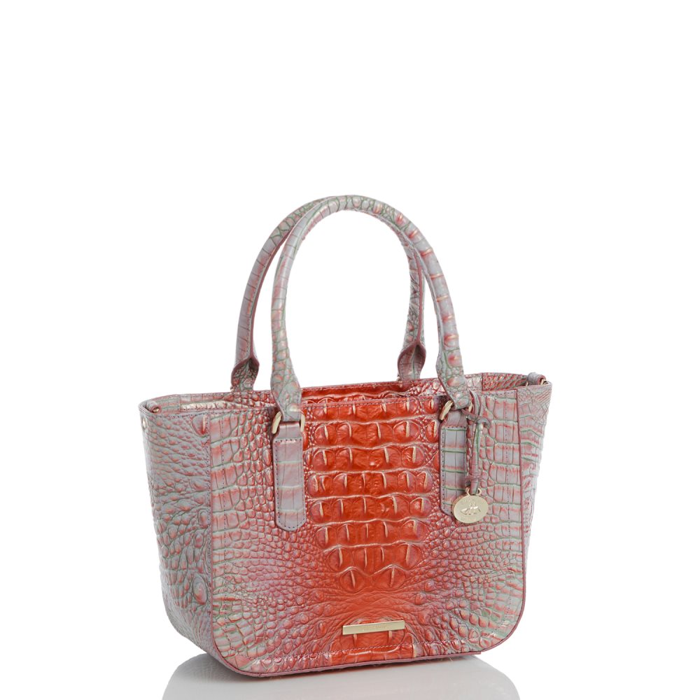 Brahmin Small Ashlee Flirty Ombre Melbourne