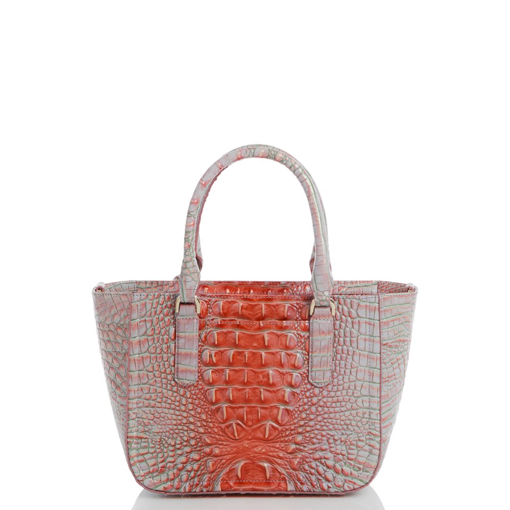 Brahmin Small Ashlee Flirty Ombre Melbourne