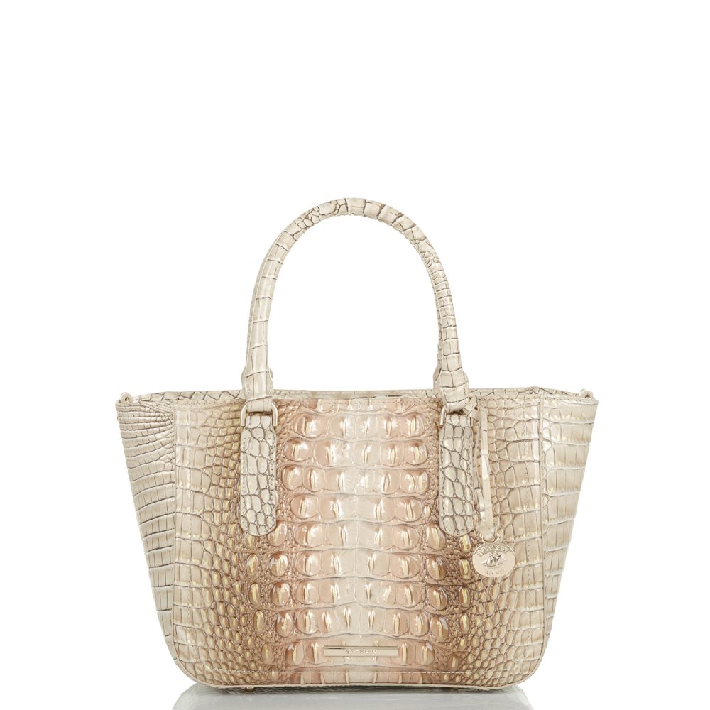 Brahmin Small Ashlee Scallop Ombre Melbourne