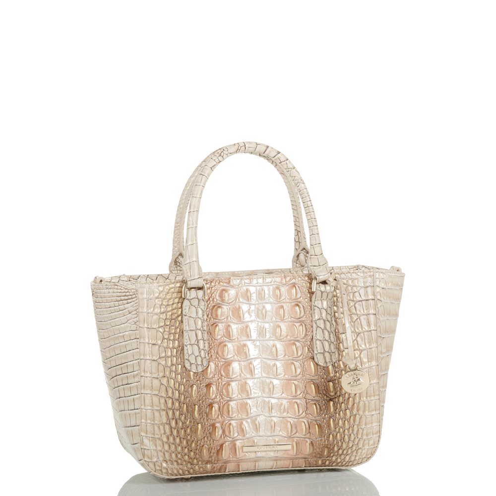 Brahmin Small Ashlee Scallop Ombre Melbourne