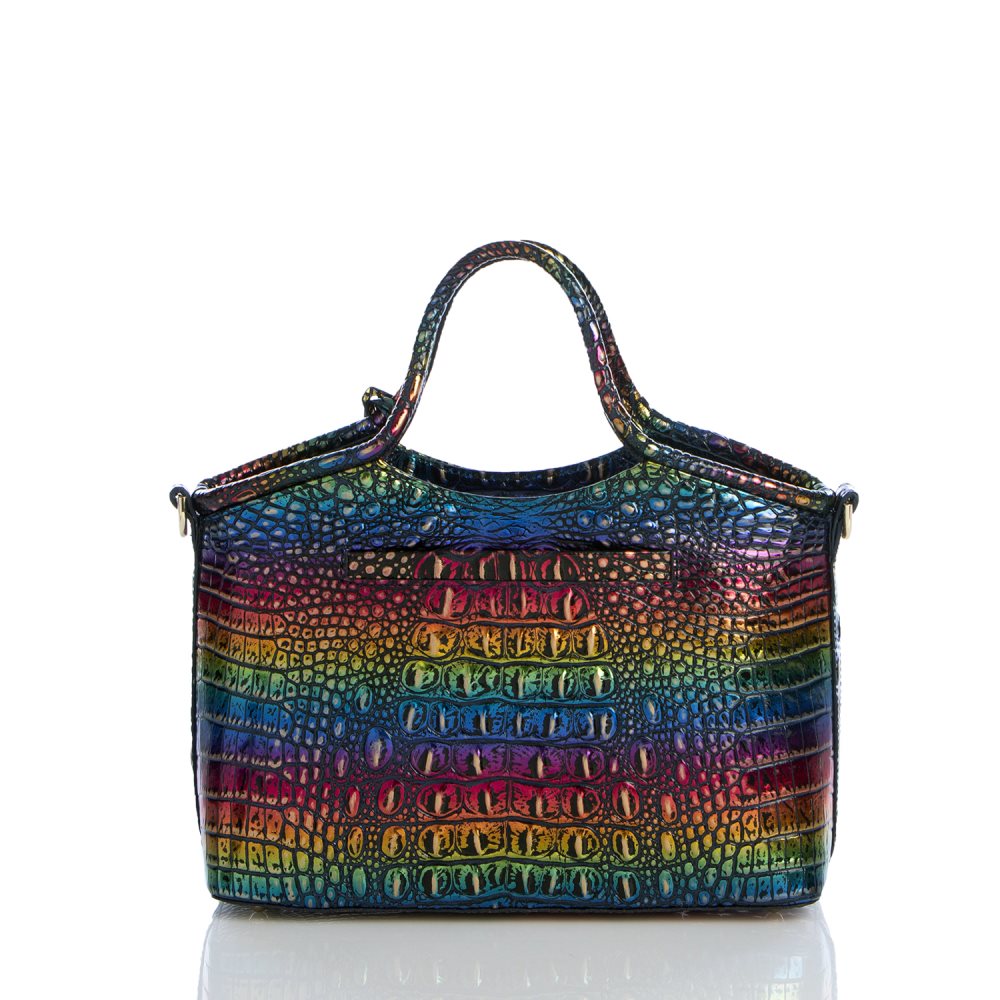 Brahmin Small Elaine Technicolor Melbourne