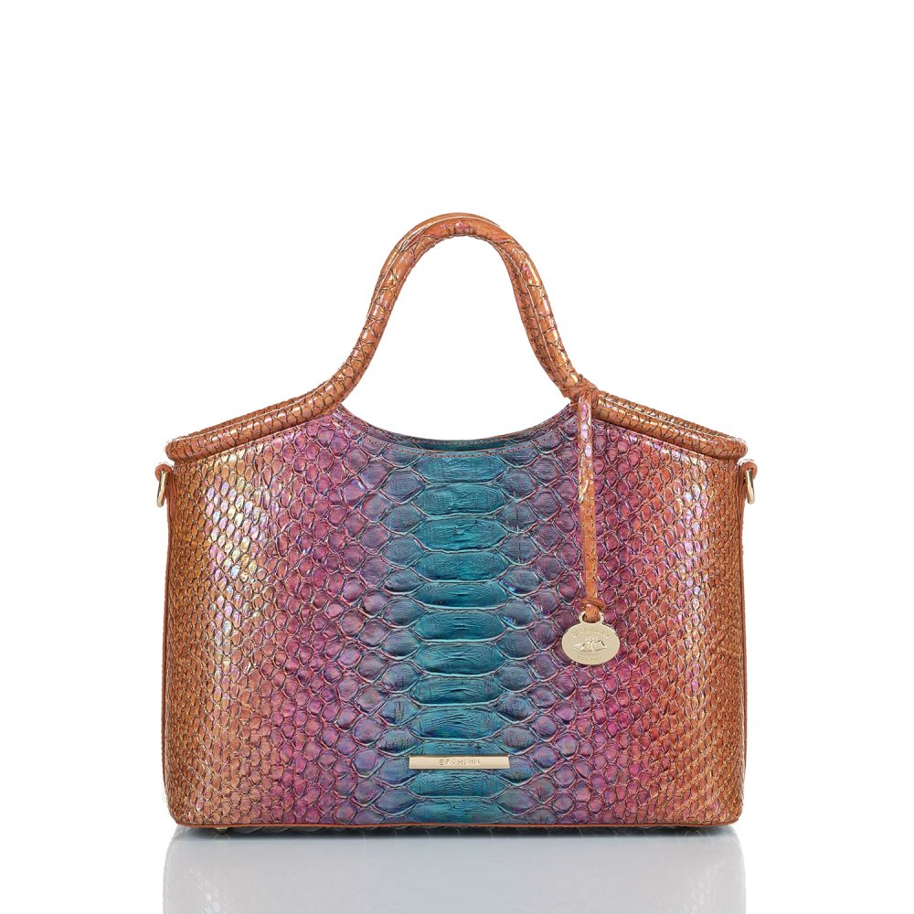 Brahmin Small Elaine Multi Stellaris