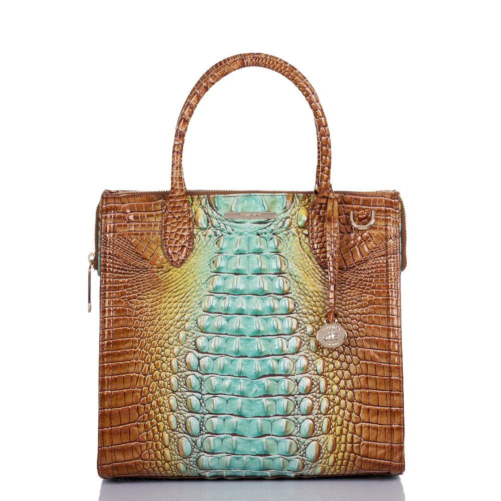 Brahmin Caroline Cactus Ombre Melbourne