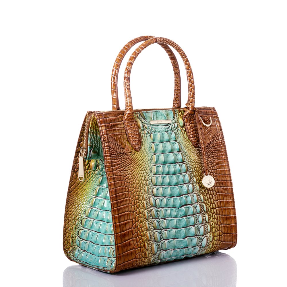 Brahmin Caroline Cactus Ombre Melbourne