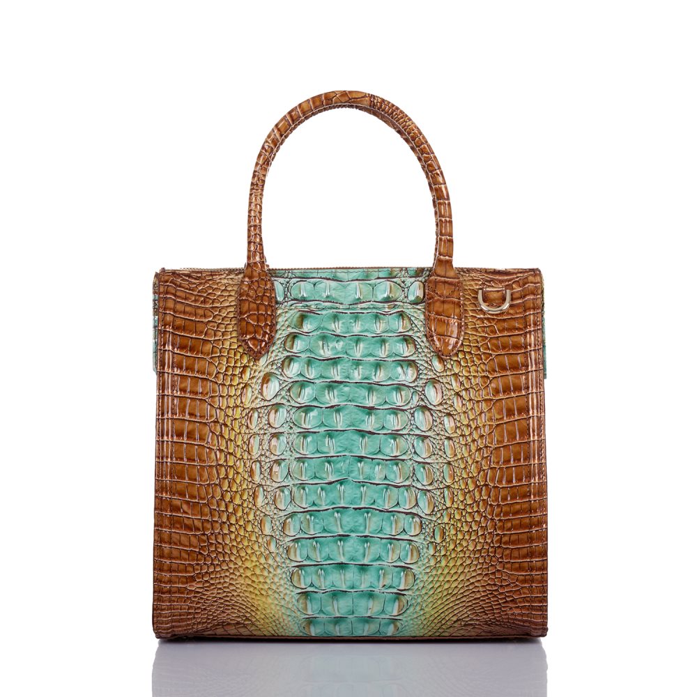 Brahmin Caroline Cactus Ombre Melbourne