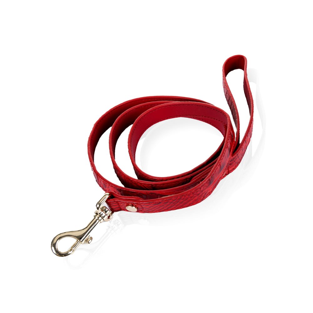 Brahmin Medium Pet Leash Carnation Melbourne