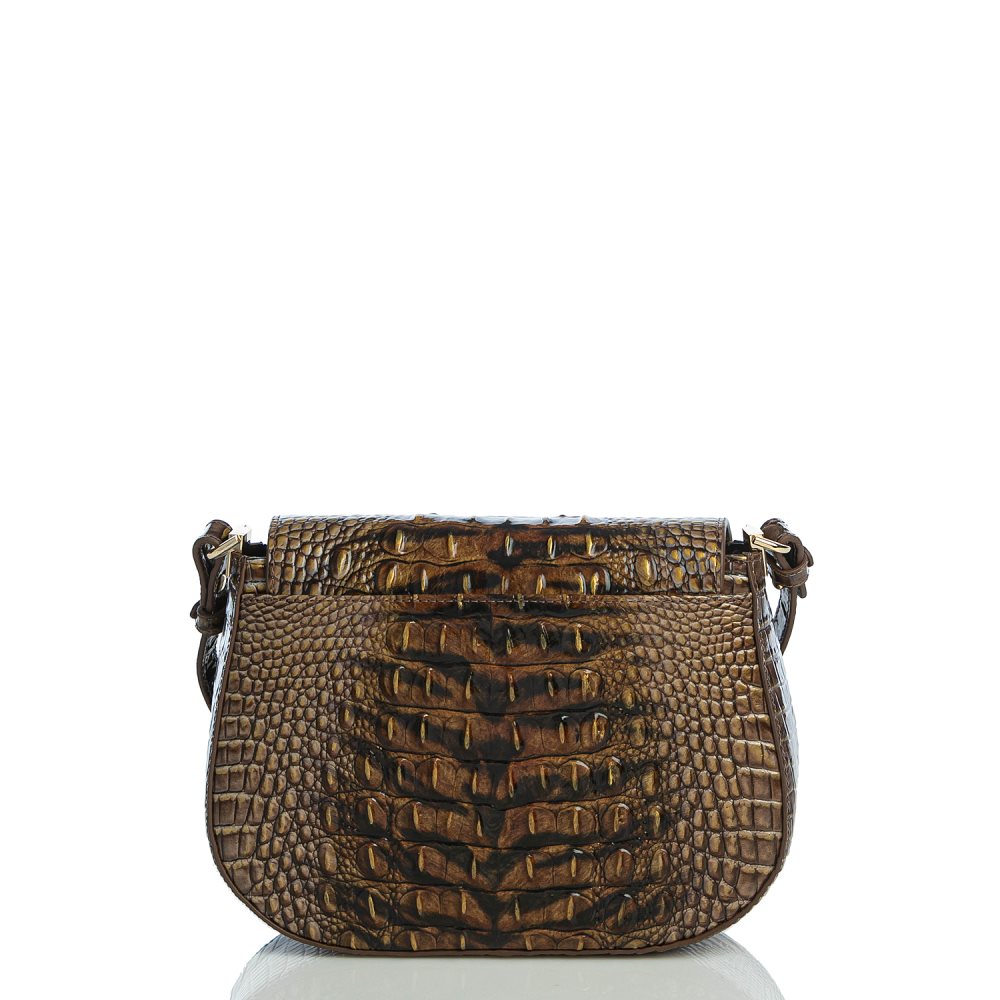 Brahmin Small Nadine Instinct Ombre Melbourne