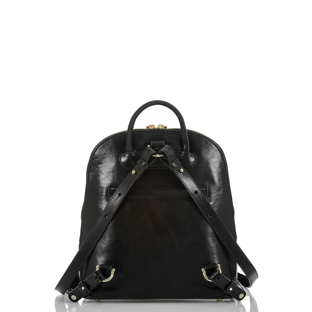 Brahmin Rosemary Black Topsail