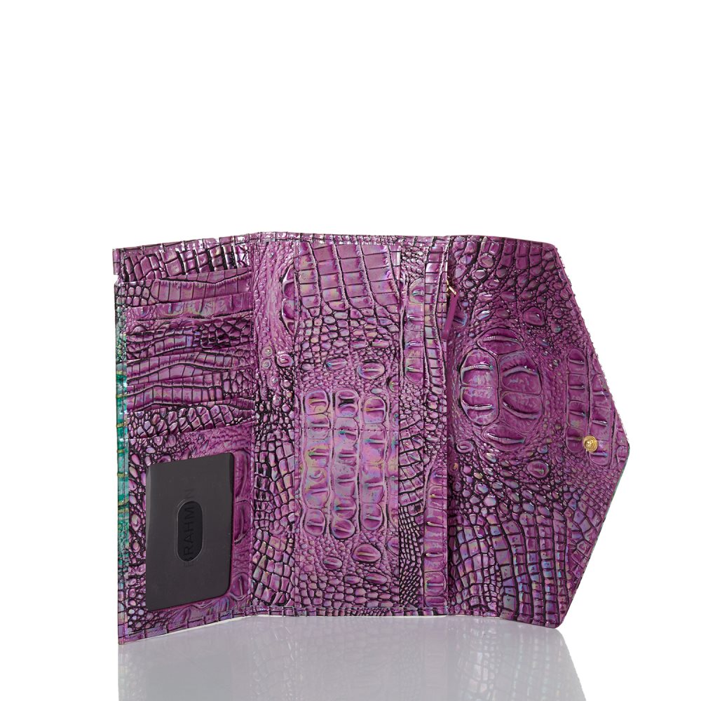 Brahmin Veronica Hyacinth Ombre Mini Melbourne