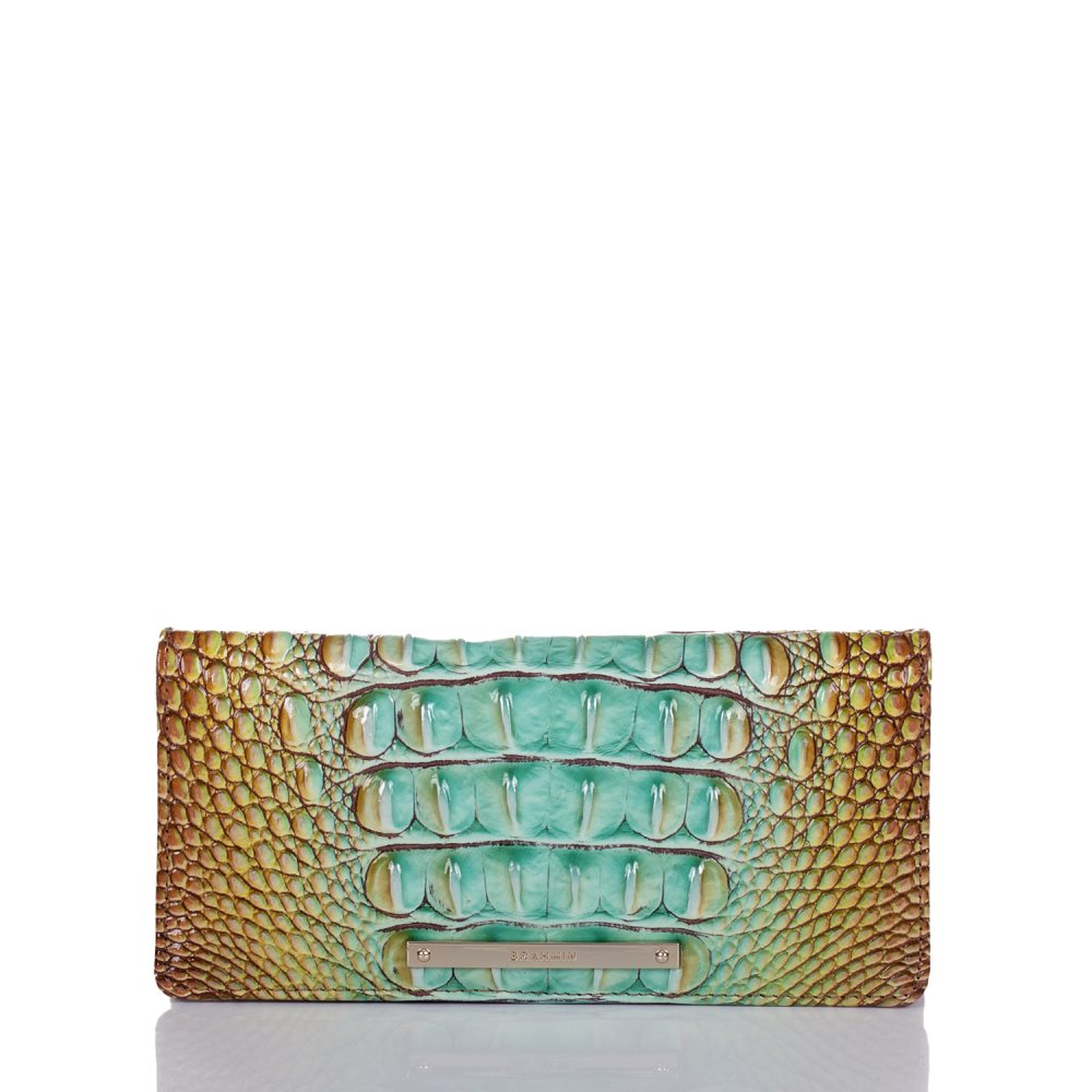 Brahmin Ady Wallet Cactus Ombre Melbourne