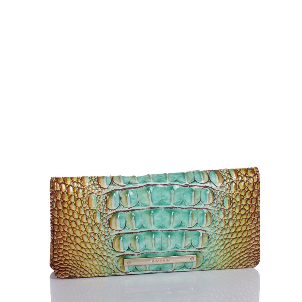 Brahmin Ady Wallet Cactus Ombre Melbourne