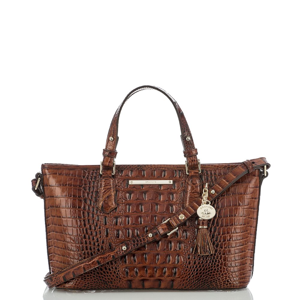 Brahmin Mini Asher Pecan Melbourne