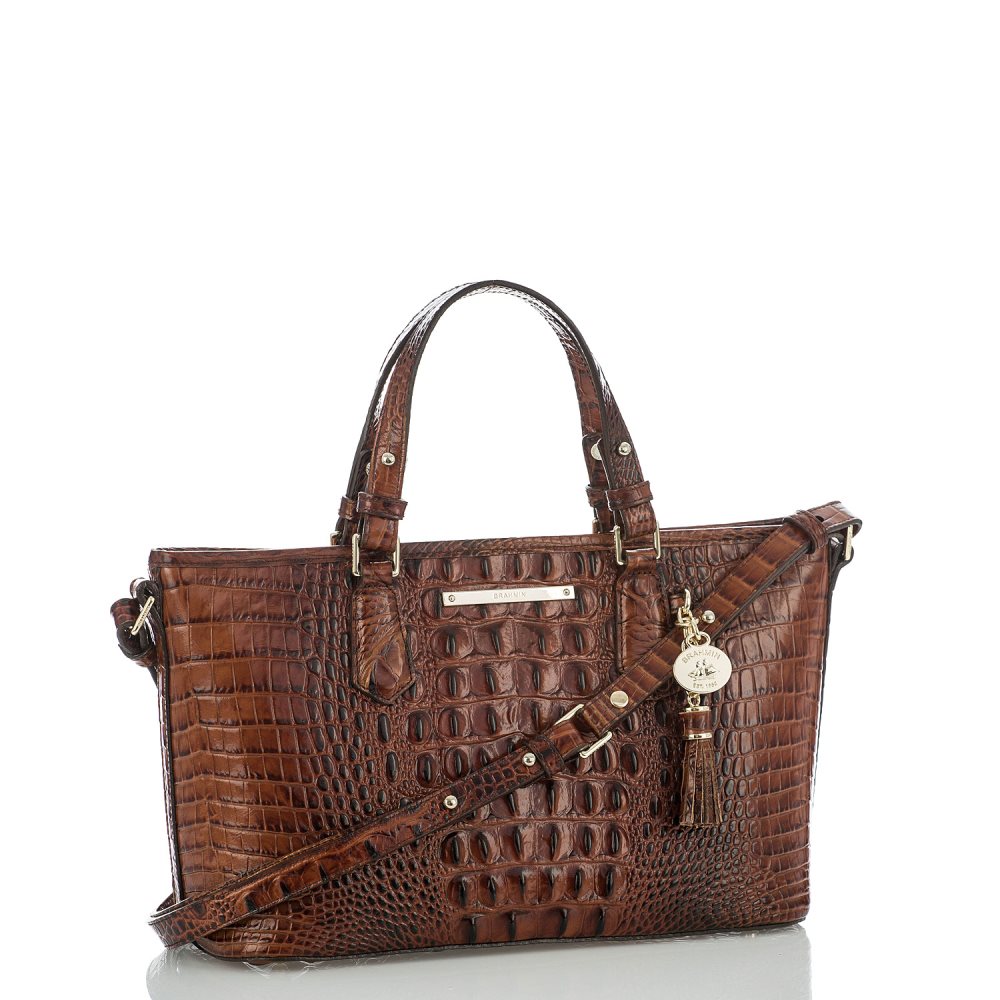 Brahmin Mini Asher Pecan Melbourne