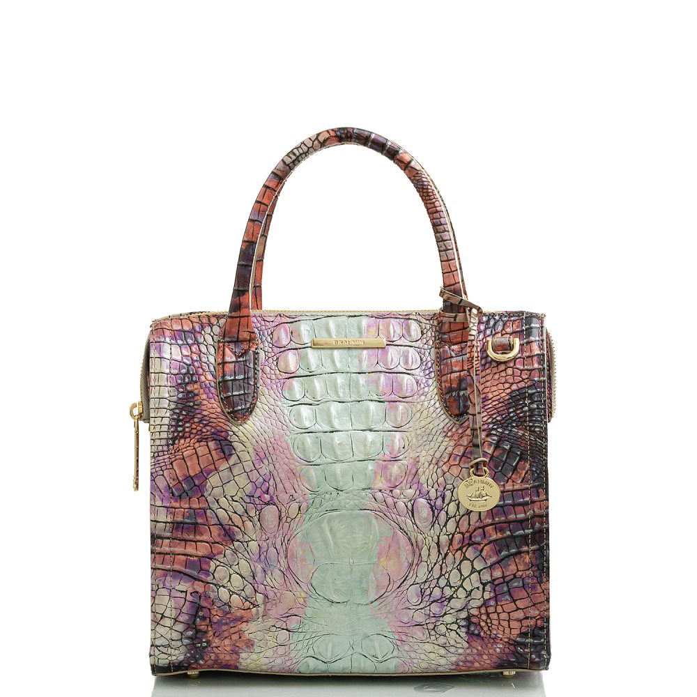 Brahmin Small Caroline Supernova Ombre Melbourne