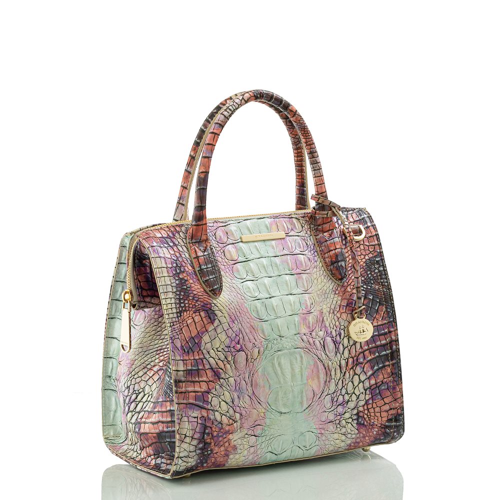 Brahmin Small Caroline Supernova Ombre Melbourne