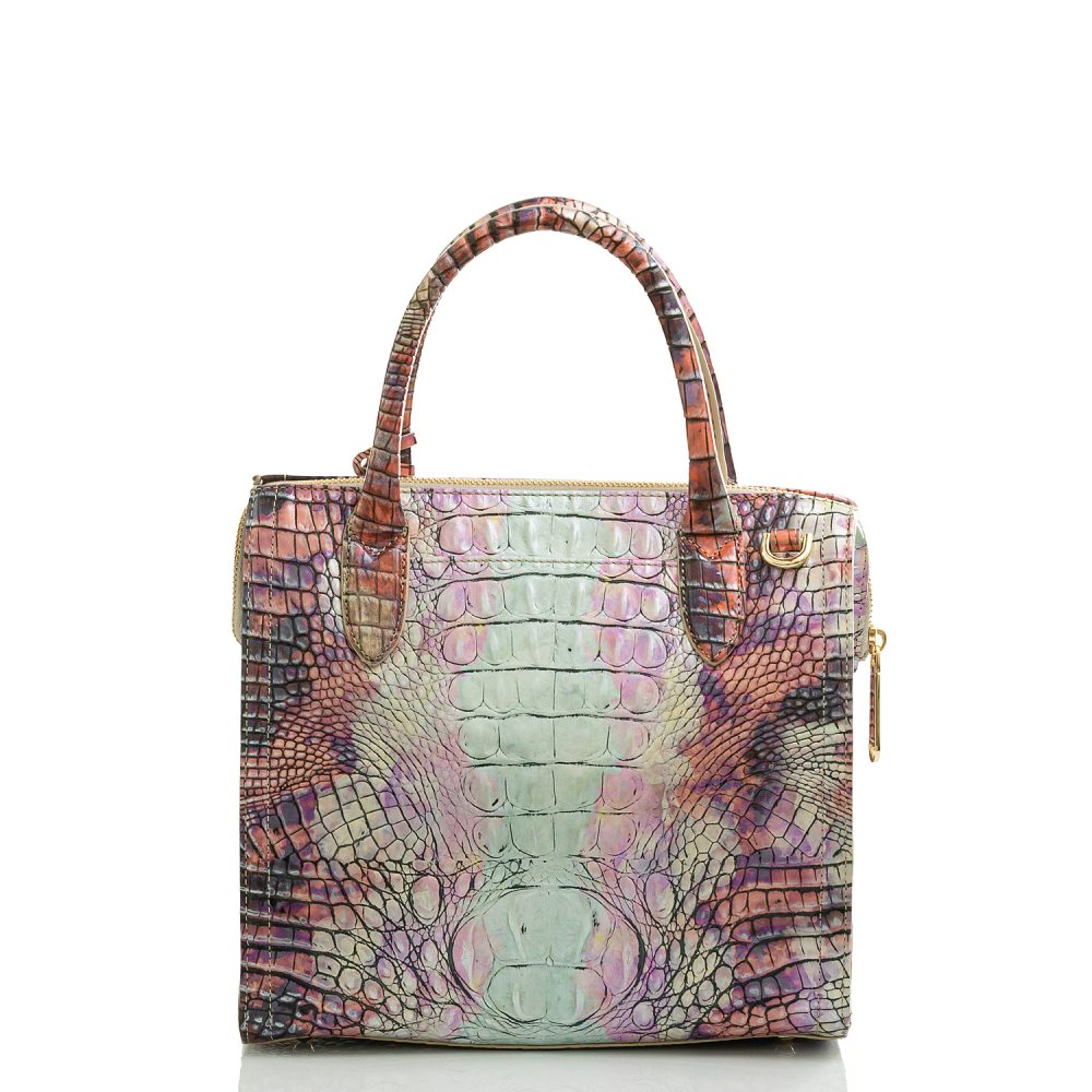 Brahmin Small Caroline Supernova Ombre Melbourne