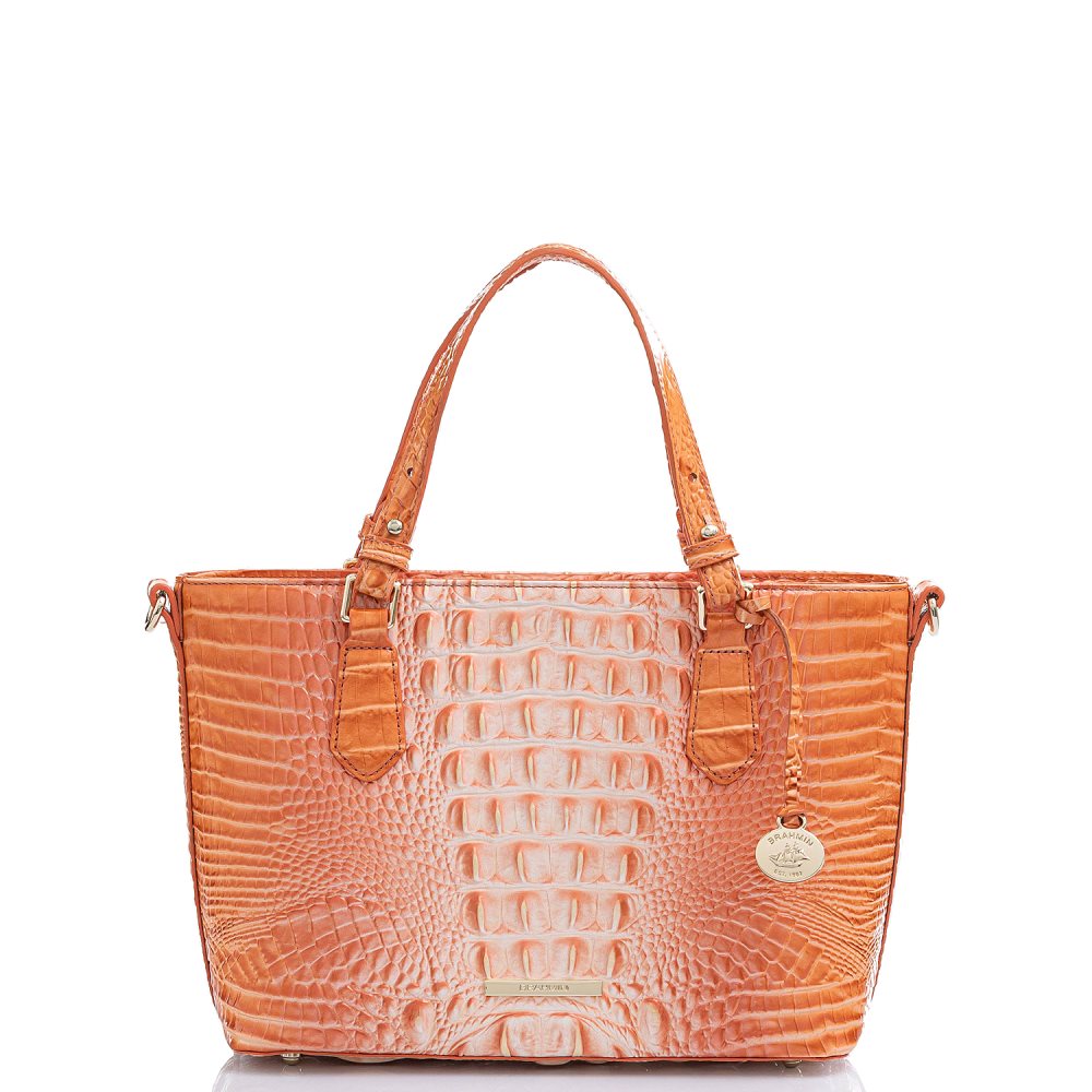 Brahmin Mini Misha Sherbert Ombre Melbourne