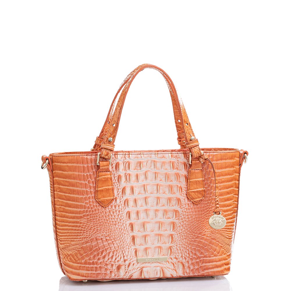 Brahmin Mini Misha Sherbert Ombre Melbourne