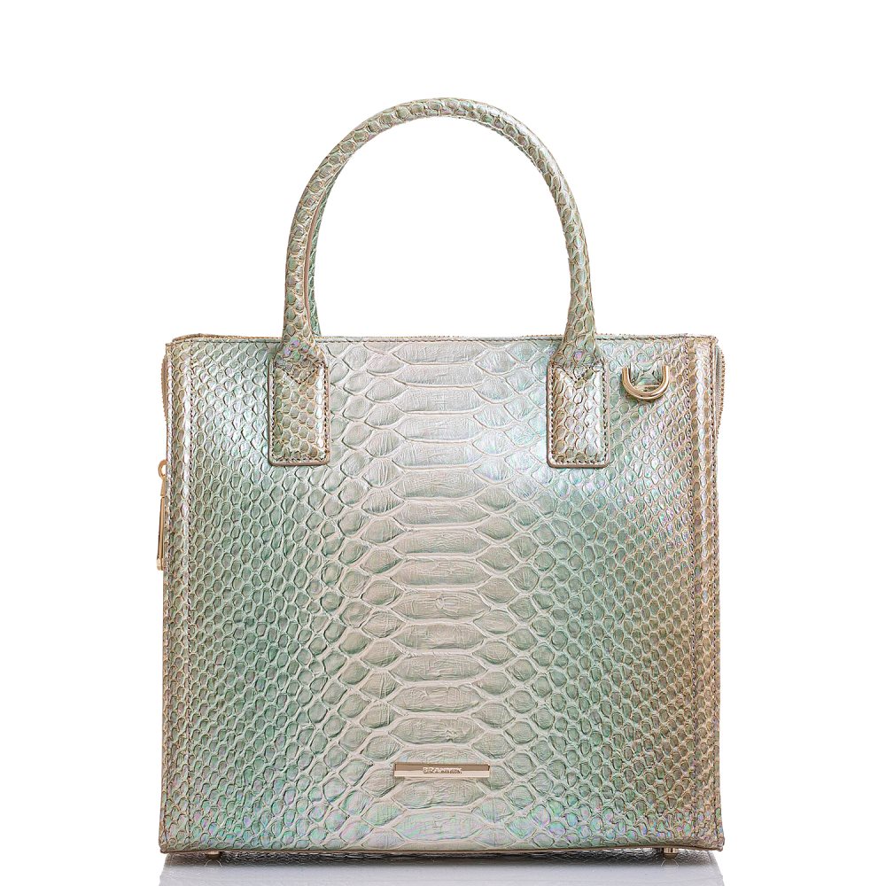 Brahmin Caroline Green Velocity