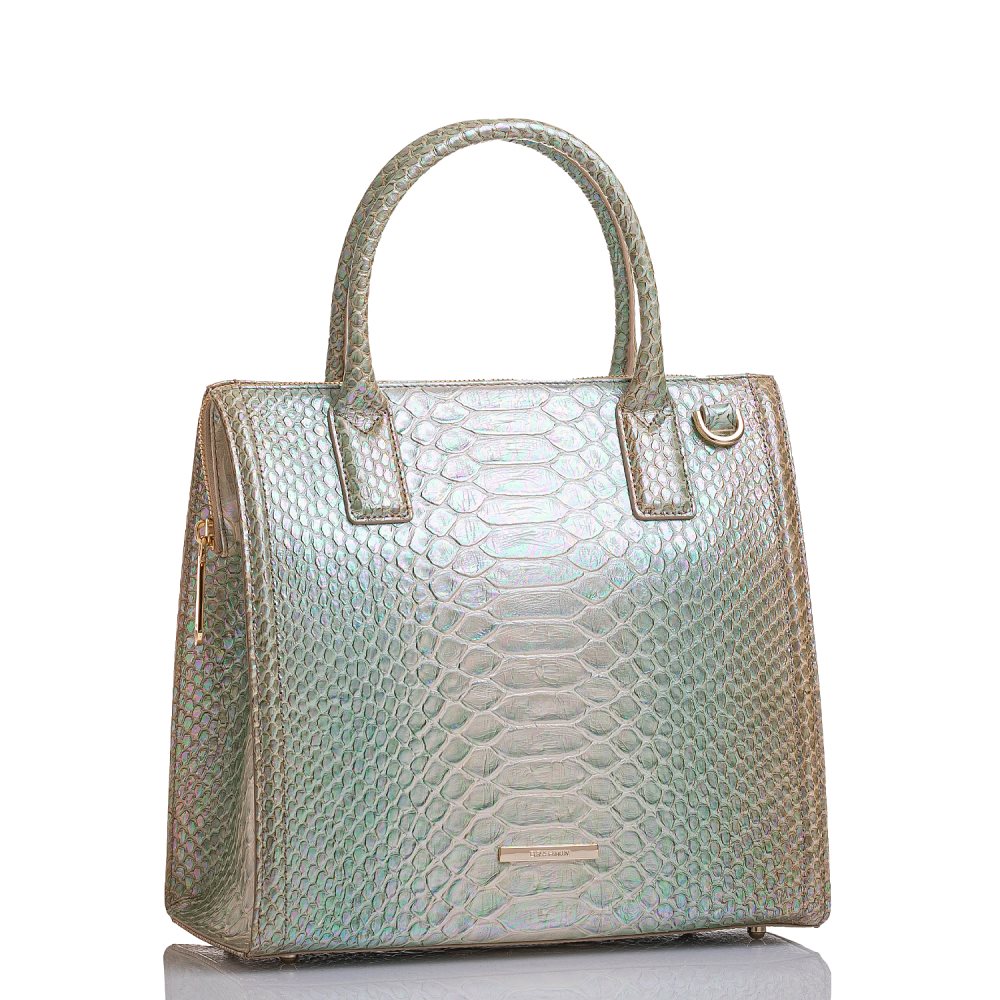 Brahmin Caroline Green Velocity