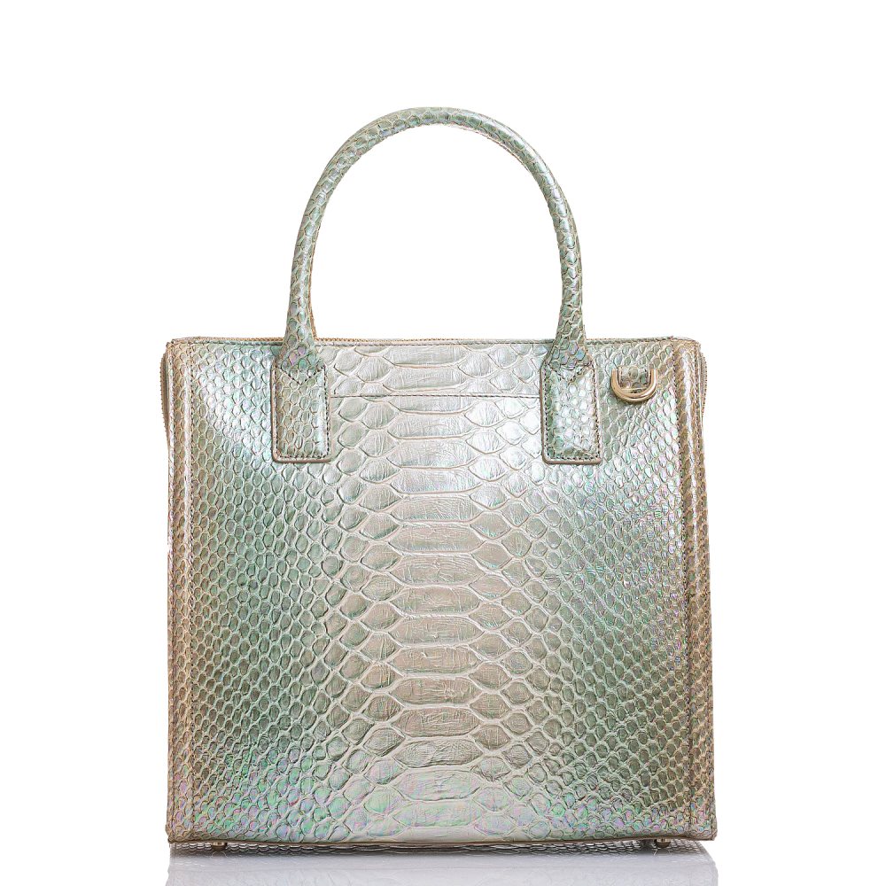 Brahmin Caroline Green Velocity