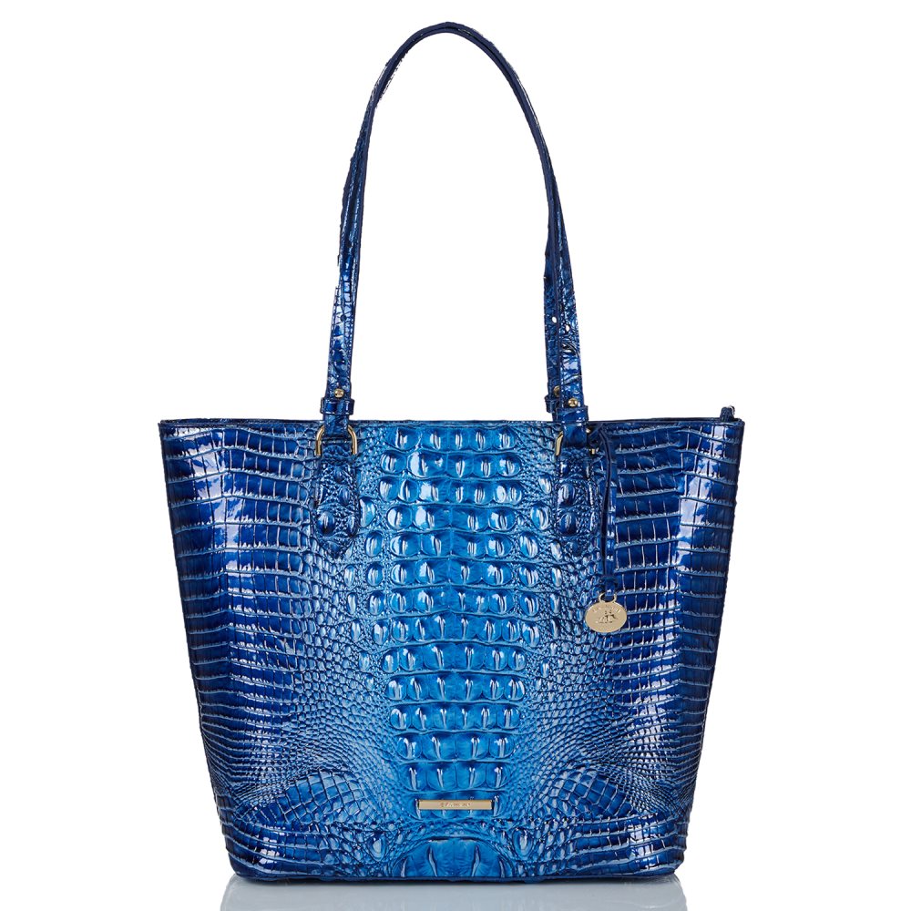 Brahmin Ellen Vista Blue Ombre Melbourne