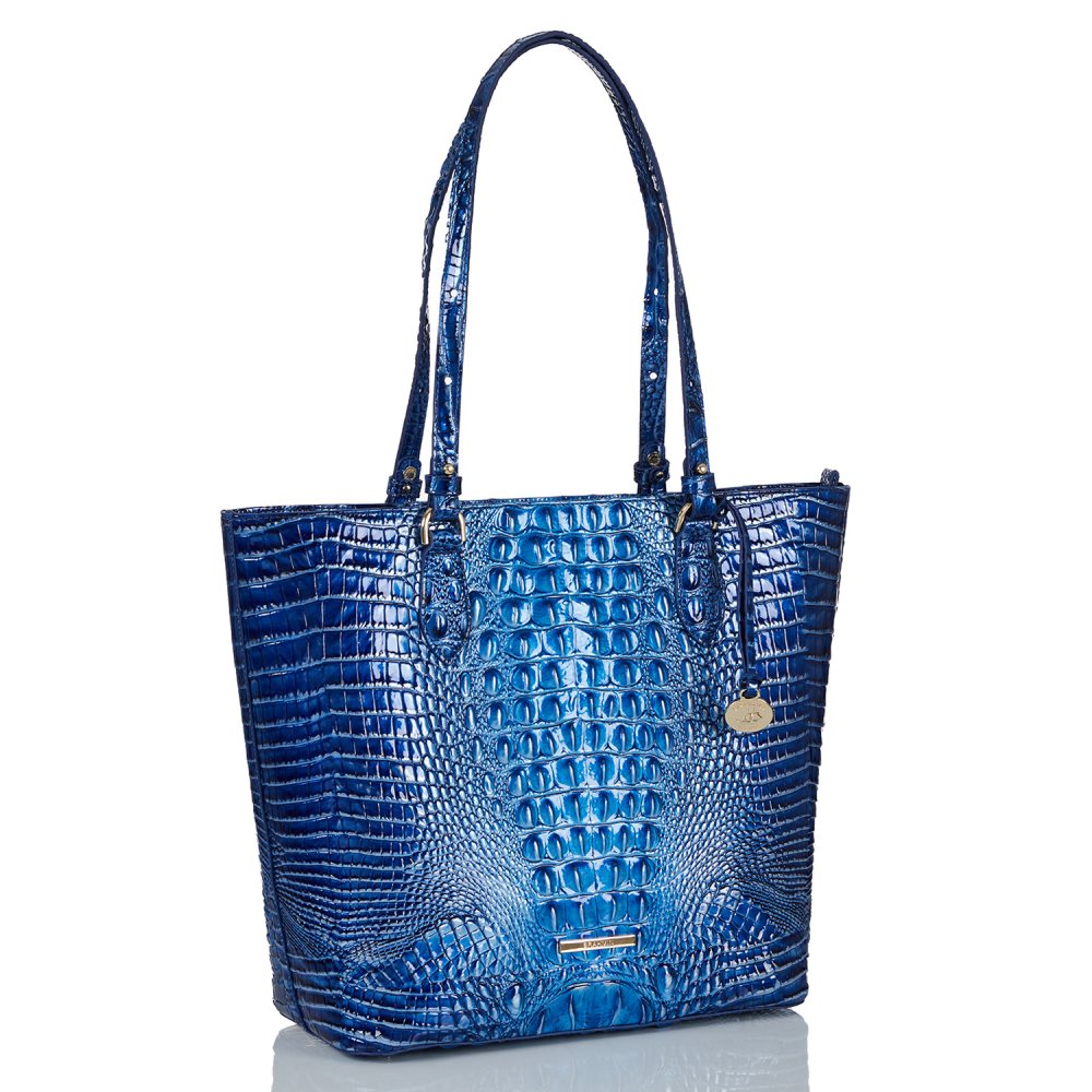 Brahmin Ellen Vista Blue Ombre Melbourne