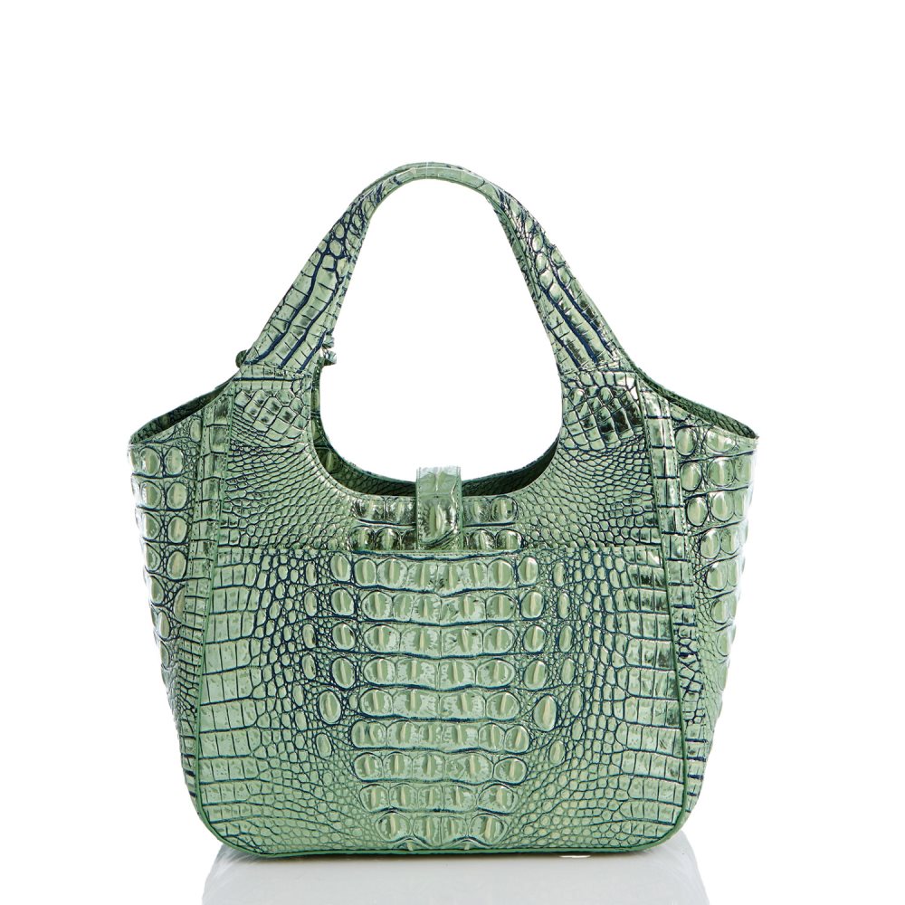 Brahmin Small Carla Agave Melbourne