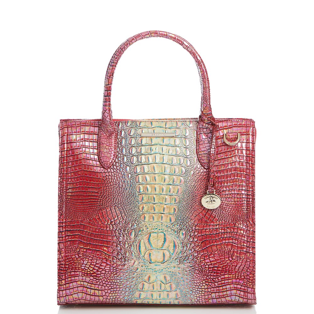 Brahmin Caroline Dragonfruit Ombre Mini Melbourne