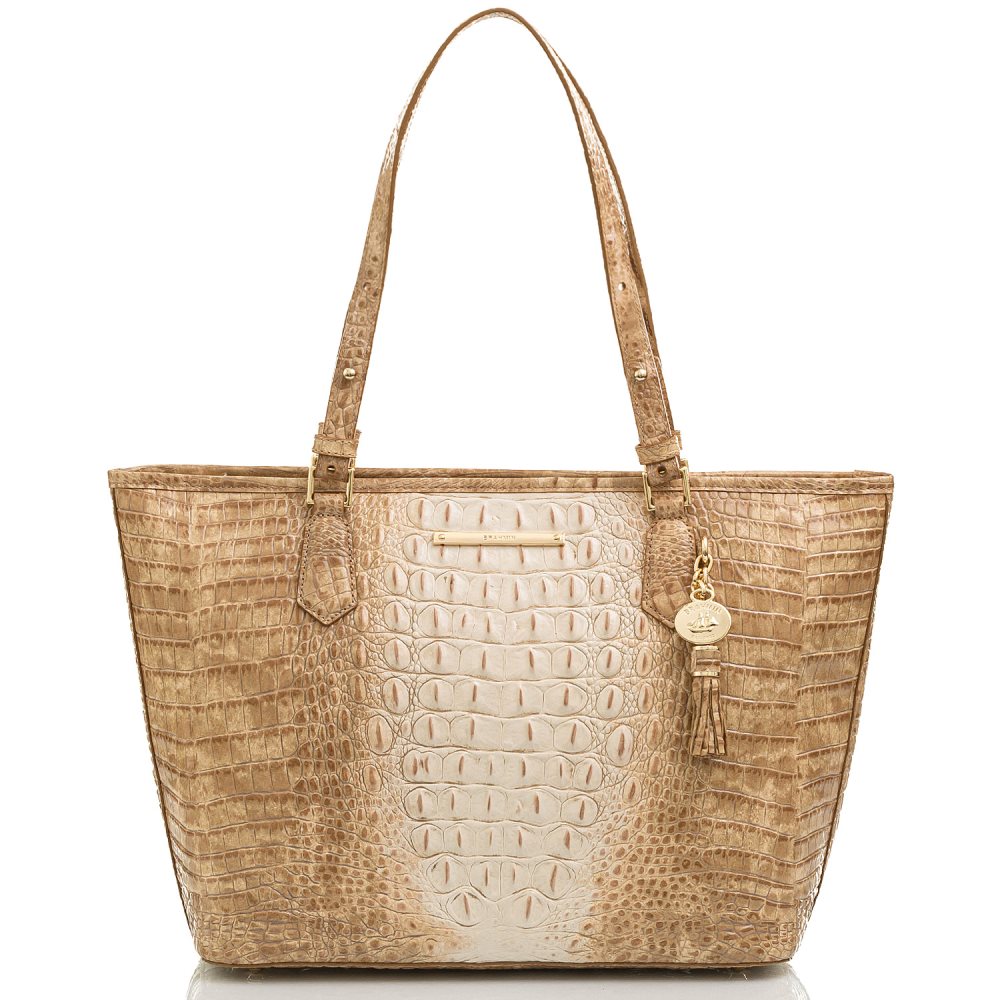 Brahmin Medium Asher Praline Ombre Melbourne