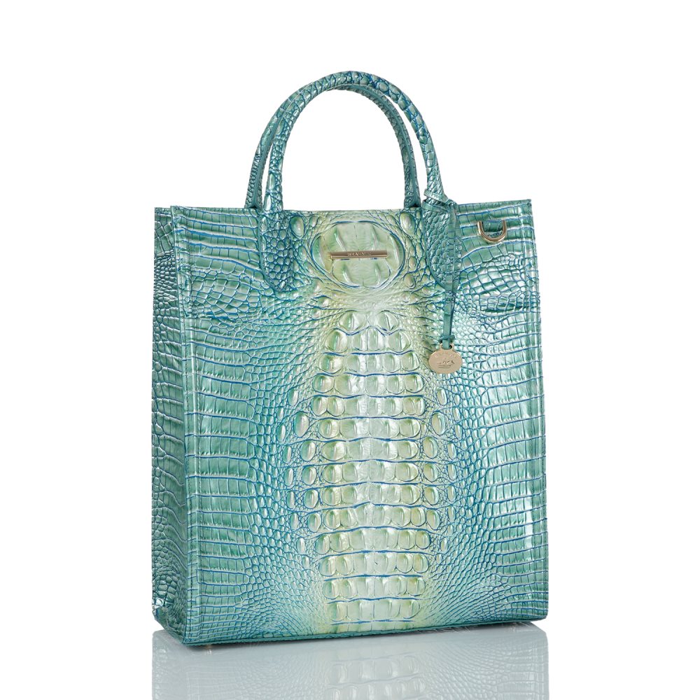 Brahmin Monique Seafoam Ombre Melbourne