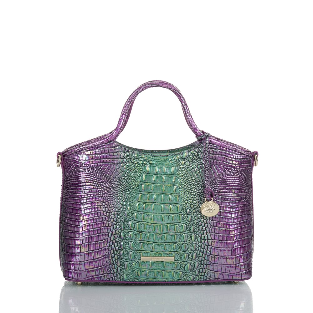 Brahmin Small Elaine Hyacinth Ombre Mini Melbourne