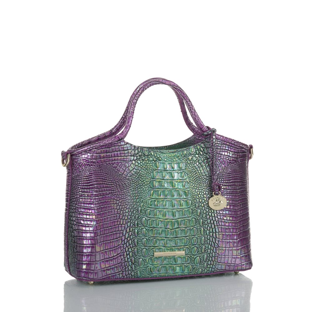 Brahmin Small Elaine Hyacinth Ombre Mini Melbourne