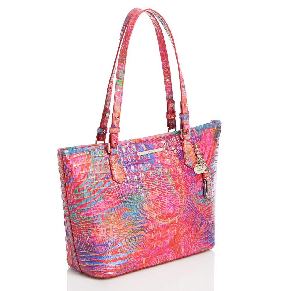 Brahmin Medium Asher Rainbow Fish Melbourne