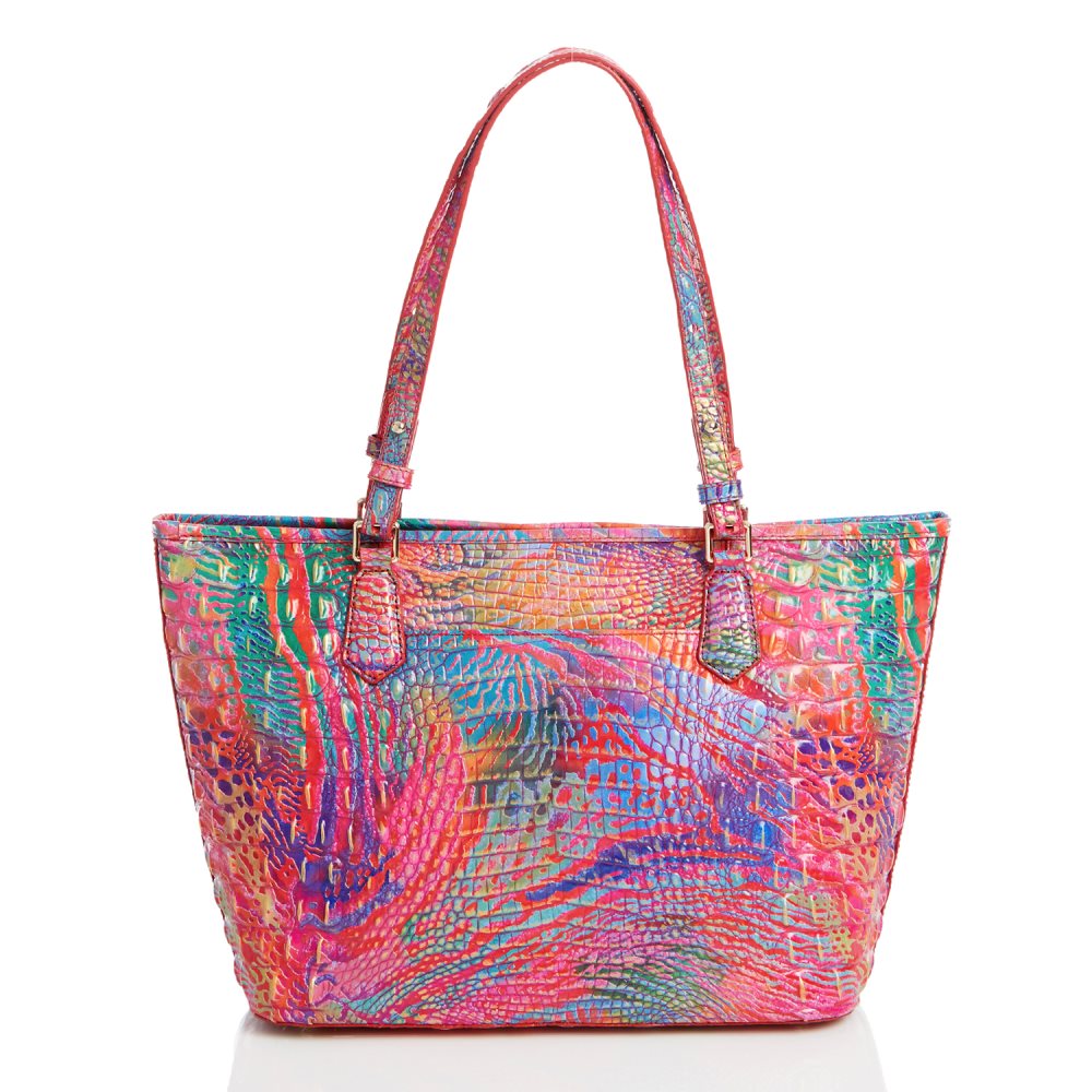 Brahmin Medium Asher Rainbow Fish Melbourne