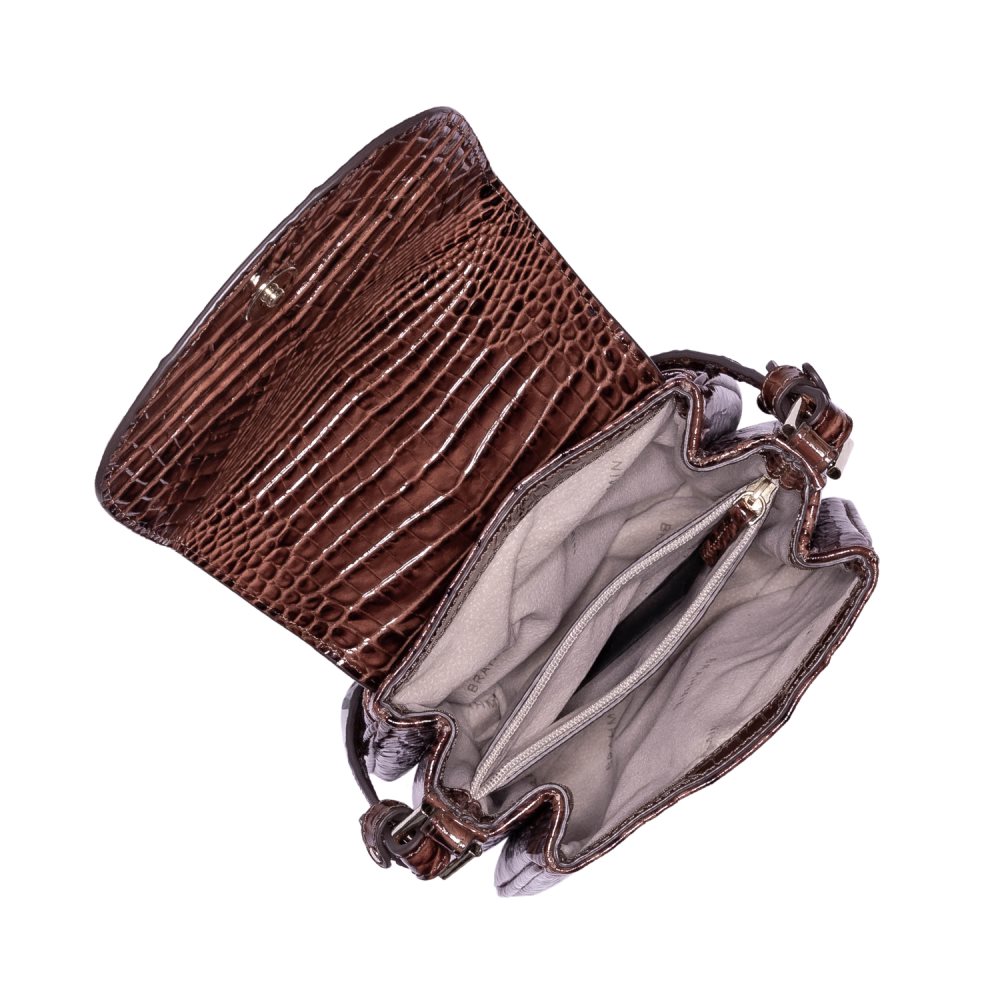 Brahmin Everlee | Vintage Brown Leather Crossbody Bag